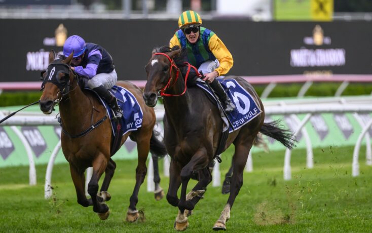 整体表现显 整体表现显