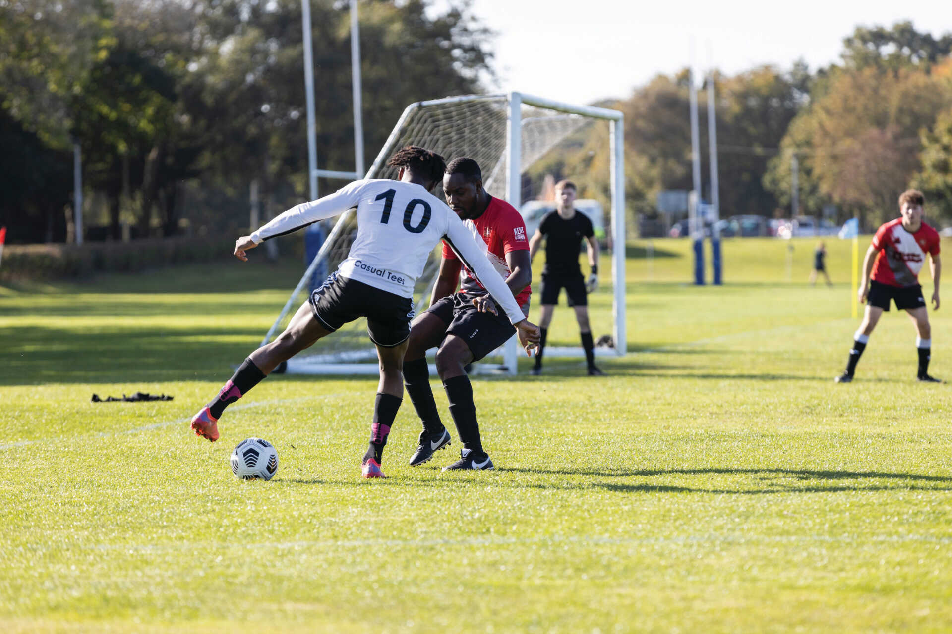 以保持冷静 以保持冷静