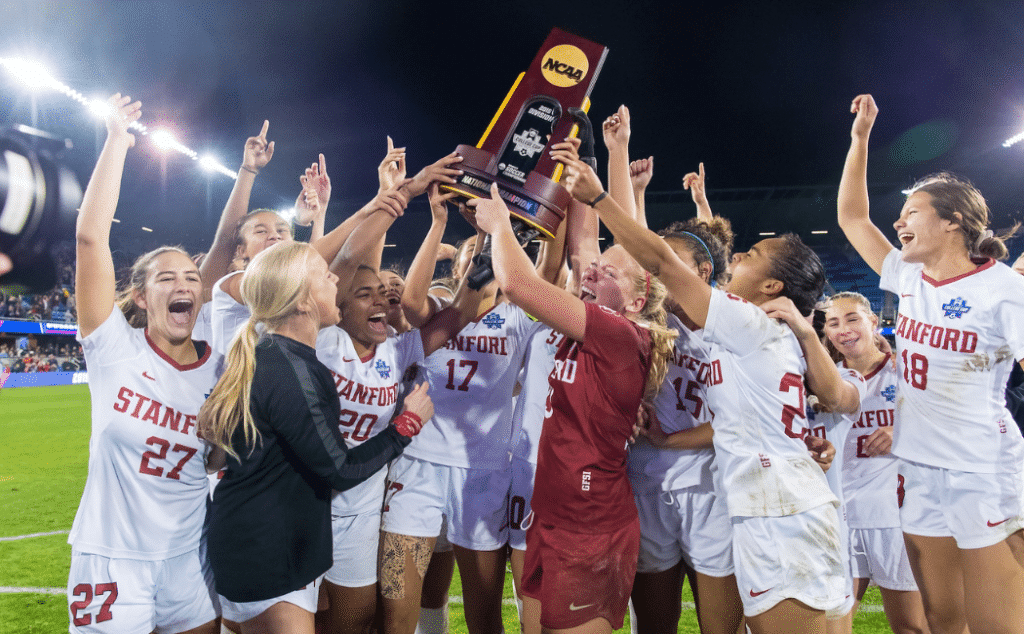 巴薩基金會 巴薩基金會